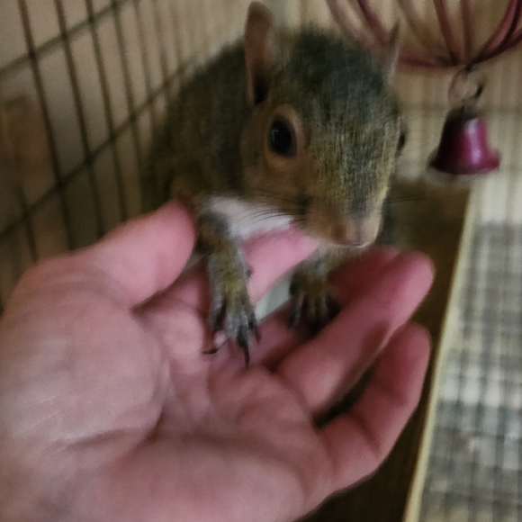 Meet your Posher, Mary - Picture 12 of 16